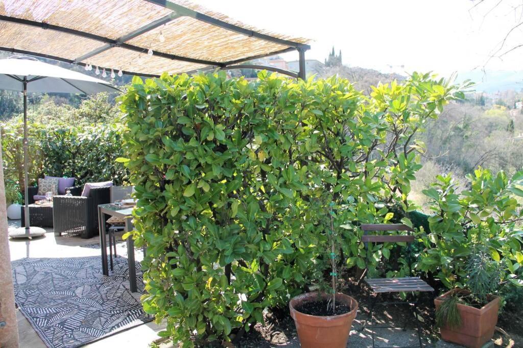Charmant 2 pièces + terrasse entouré de verdure Vence Exterior foto